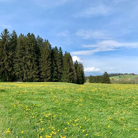 Lindners Hideaways - Bergnest Lodge - Bergblick Fewo 6 Pers Balkon Garten Hund Ski Unterkunft Luftkurort Oberreute Naehe Buchenegger Wasserfaelle Eistobel Bodensee Esterno foto