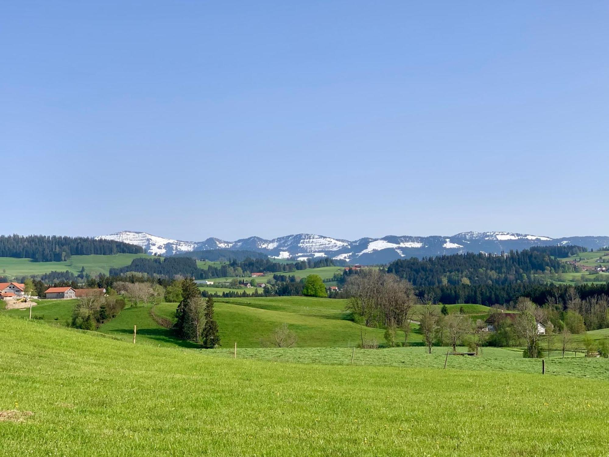 Lindners Hideaways - Bergnest Lodge - Bergblick Fewo 6 Pers Balkon Garten Hund Ski Unterkunft Luftkurort Oberreute Naehe Buchenegger Wasserfaelle Eistobel Bodensee Esterno foto