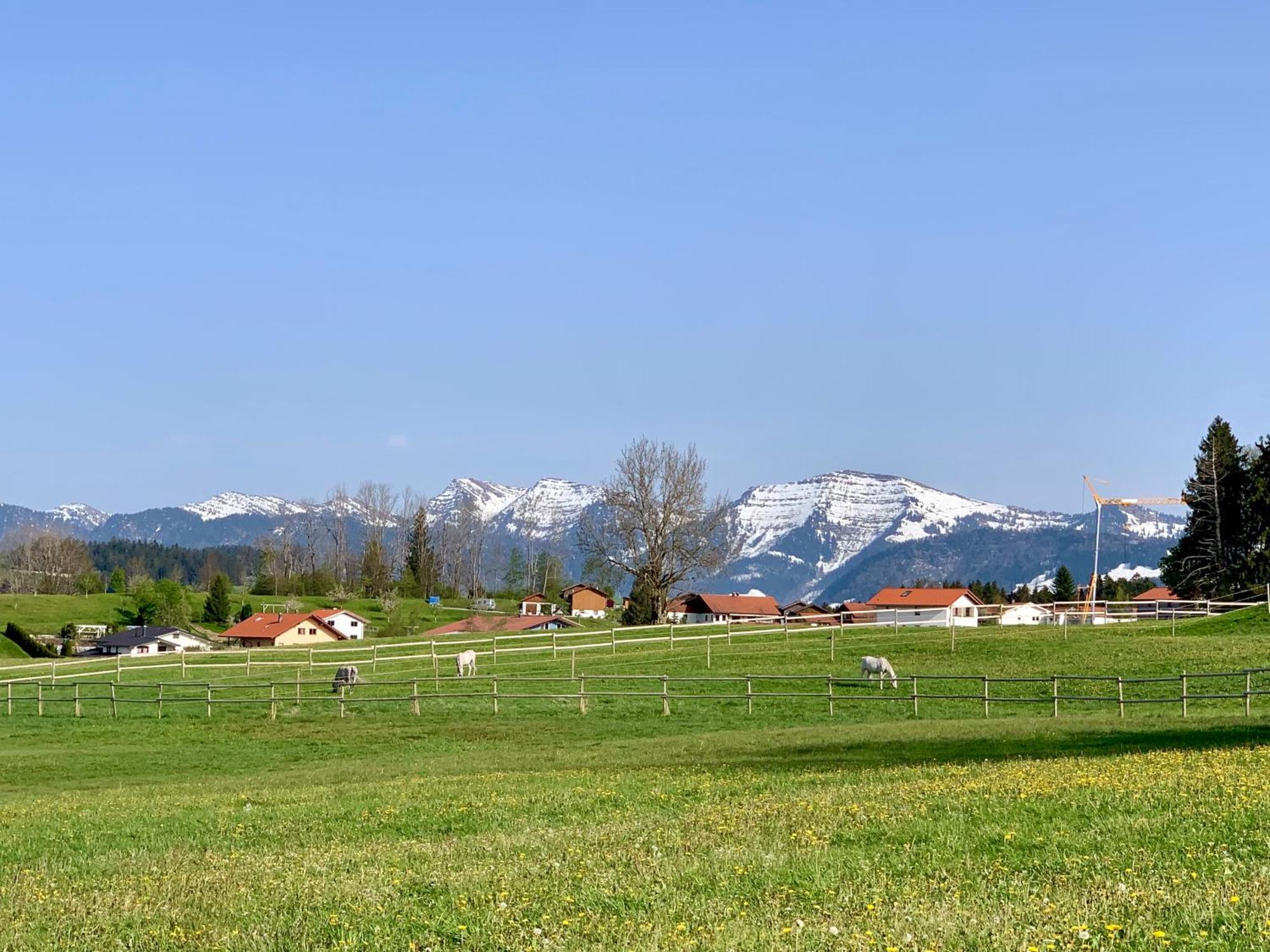 Lindners Hideaways - Bergnest Lodge - Bergblick Fewo 6 Pers Balkon Garten Hund Ski Unterkunft Luftkurort Oberreute Naehe Buchenegger Wasserfaelle Eistobel Bodensee Esterno foto