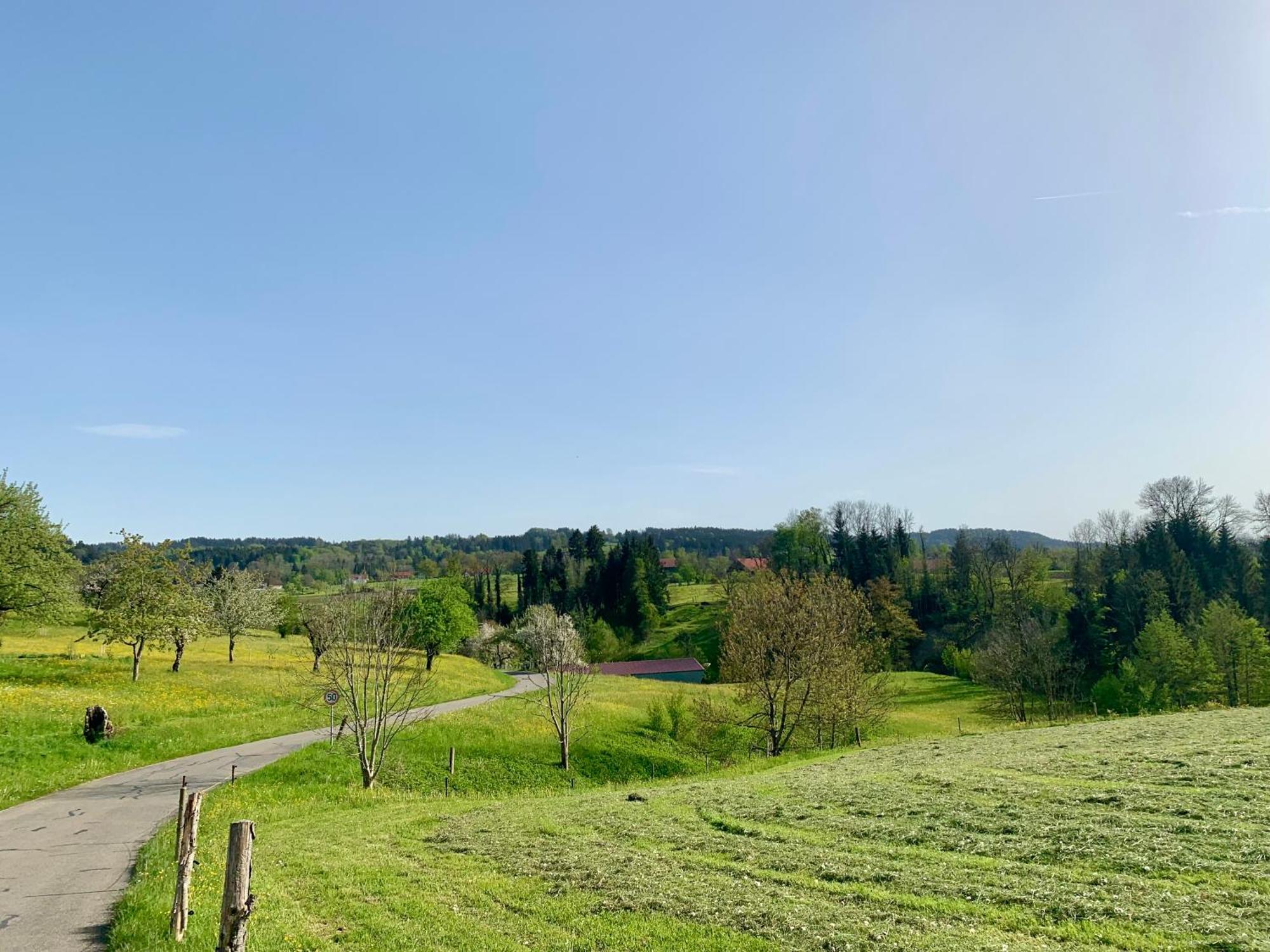 Lindners Hideaways - Bergnest Lodge - Bergblick Fewo 6 Pers Balkon Garten Hund Ski Unterkunft Luftkurort Oberreute Naehe Buchenegger Wasserfaelle Eistobel Bodensee Esterno foto