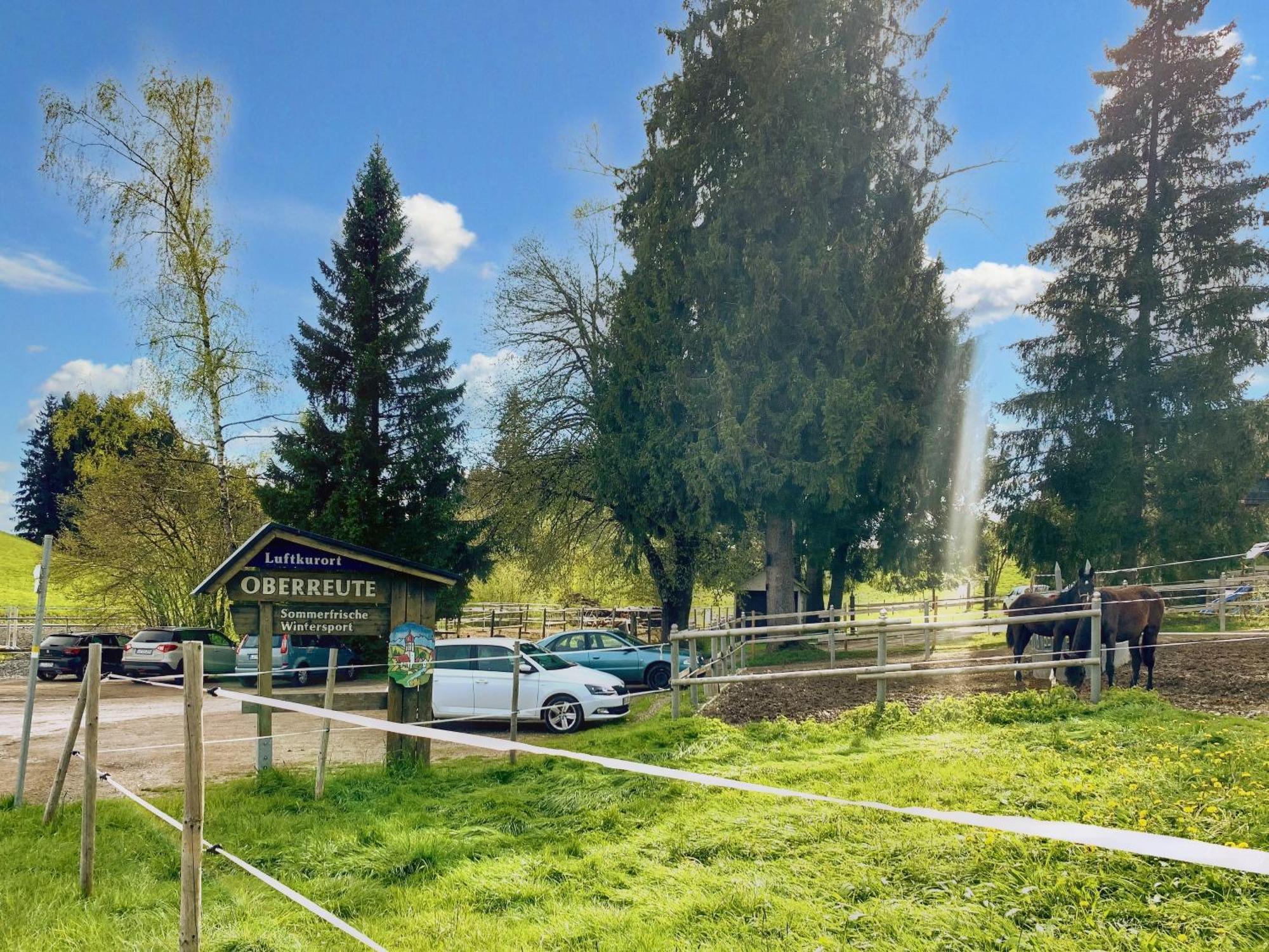 Lindners Hideaways - Bergnest Lodge - Bergblick Fewo 6 Pers Balkon Garten Hund Ski Unterkunft Luftkurort Oberreute Naehe Buchenegger Wasserfaelle Eistobel Bodensee Esterno foto